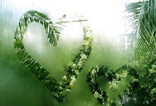 雷火电竞赛事-包含青岛不敌北京，外援发挥低迷，全队表现较为疲惫的词条