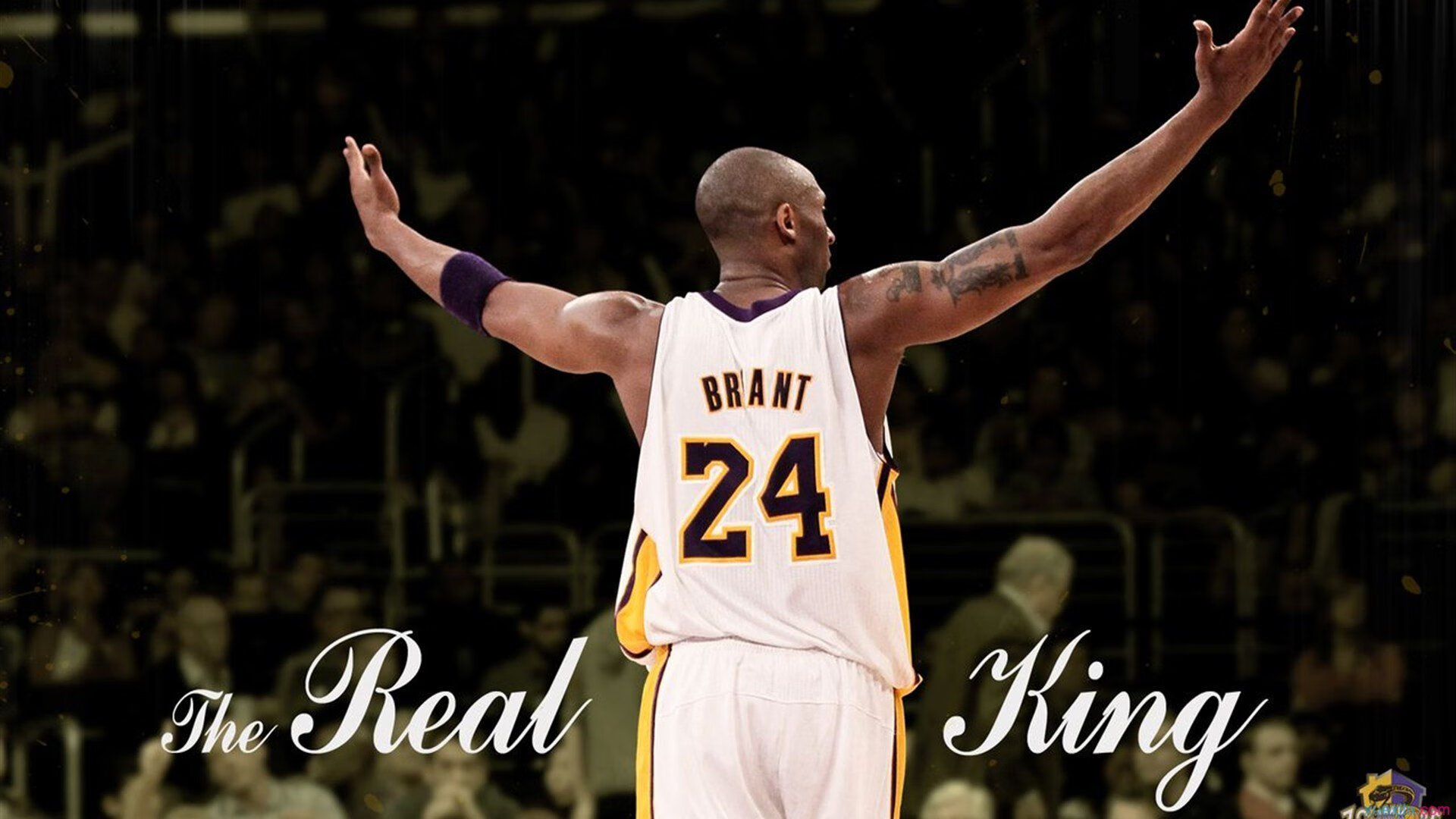 逆风翻盘的独白，当威廉姆斯打破宿命，皮亚斯特里点亮F1的未来之光